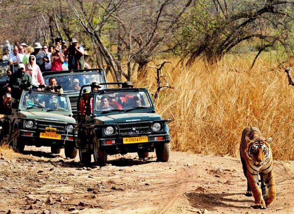 de Viaje a la Jaipur