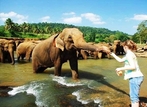 viaje a srilanka